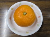 20160112 (2)